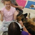 Exploring Animal Welfare: How to Get Involved with Community Groups in Portland, OR