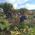 Community Groups in Portland, OR: How to Get Involved with Community Gardening