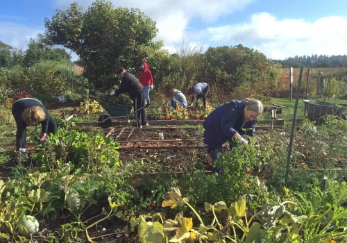 Community Groups in Portland, OR: How to Get Involved with Community Gardening